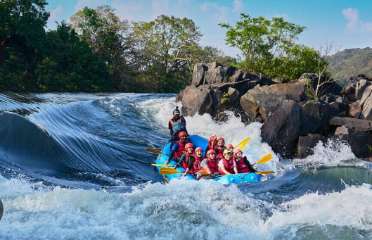 Dandeli