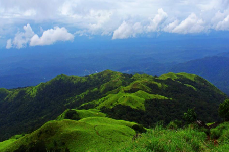 coorg